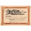 Image 1 : Cayadutta Electric Railroad Company Stock Certificate, 1893  (111151)