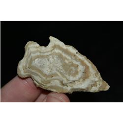 2 1/2" Lecroy Point, Central Missouri/Illinois