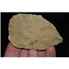 Image 1 : 3 1/2" Blade, Caldwell Co, Kentucky