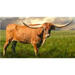 HUBBELLS 007 CATCHIT 721