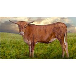 BRINDLE ROULETTE HCL