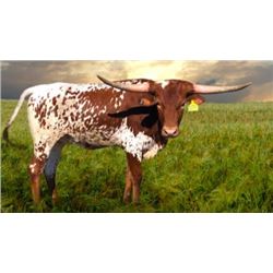 SCRATCH - HBR TOP TWENTY