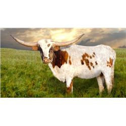 HUBBELLS CATCH DIGNITY