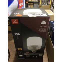 Globe 250 Watt LED Daylight 5000k HID Lamp