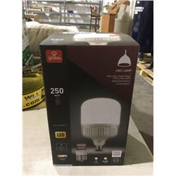 Globe 250 Watt LED Daylight 5000k HID Lamp