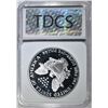 Image 4 : 1991-S ASE  TDCS PERFECT GEM PROOF