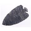Image 8 : Lost Lake LARGE Point Trimble Co. c. 9500-8500 BP