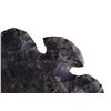 Image 9 : Lost Lake LARGE Point Trimble Co. c. 9500-8500 BP