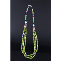 Navajo T. Singer Multi Stone Beaded Necklace