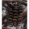 Image 8 : Mountain Pine Cone 4-Tier Chandelier by Berry Bate