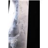 Image 9 : WWII Cattaraugus U.S.A. Folding Machete