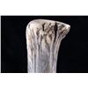 Image 13 : Hand Crafted Axe w/ Antler Tine Handle