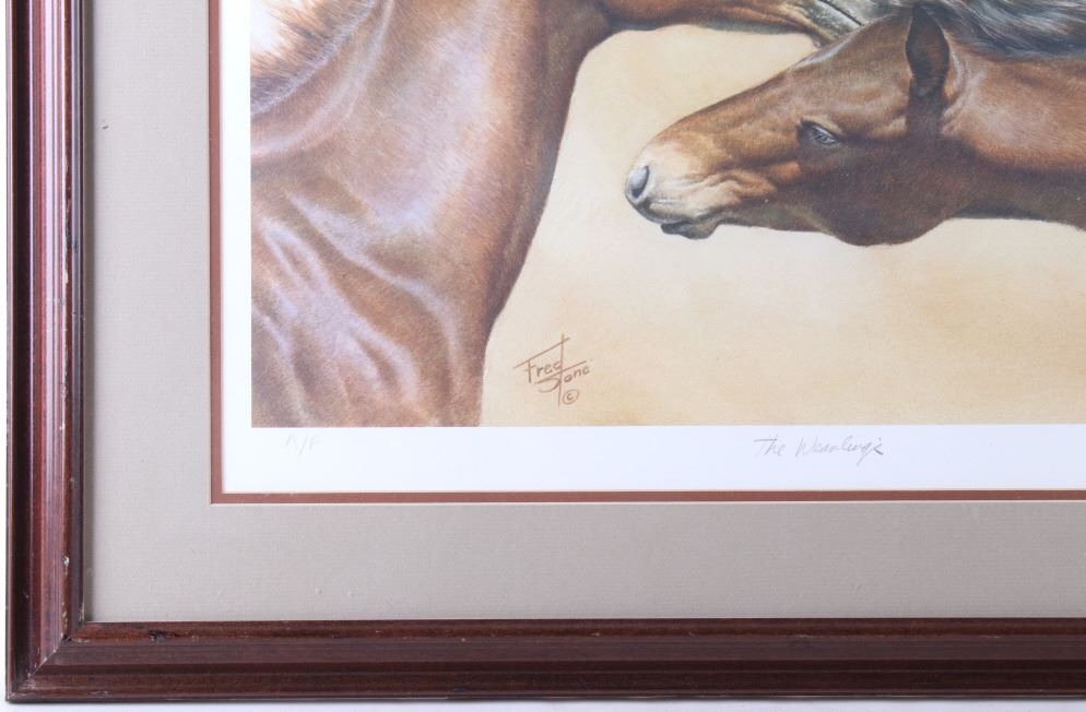 Artist Proof Lithograph "Weanling's" By Fred Stone