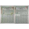 Image 1 : Chinese Government, 8% Sterling Treasury Note 'Vickers Loan' 1919, £100, I/U Coupon Bond Pair