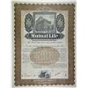 Image 1 : Mutual Life Insurance Co. of New York 1900-20 Specimen Bond