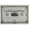 Image 1 : Game Ridge Consolidated Mining Co., 1882 Issued Stock Certificate