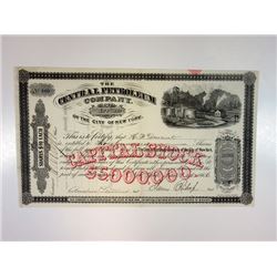 Central Petroleum Co. 1866 Issued Stock Certificate.