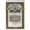 Image 1 : Detroit and Toledo Shore Line Railroad Co., 1899 Specimen Bond