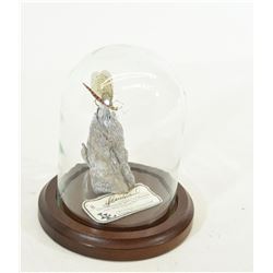 Hand Tied Fishing Fly