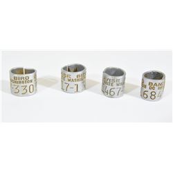 Bird Bands