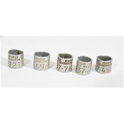 Bird Bands