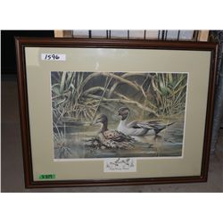 Ducks Unlimited Print