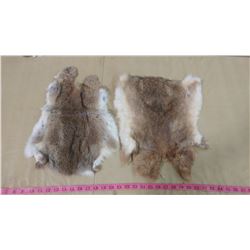 TWO BROWN RABBIT PELTS