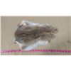 Image 4 : TWO BROWN RABBIT PELTS