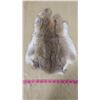 Image 5 : TWO BROWN RABBIT PELTS