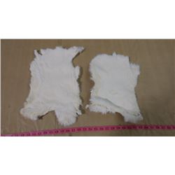 TWO WHITE RABBIT PELTS