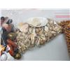 Image 3 : TWO LARGE BAGS OF WOODEN BEADS AND SHELLS