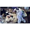 Image 1 : LOT OF ASSORTED STUFFED ANIMALS