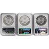 Image 2 : Lot of 2008-2010 $1 American Silver Eagle Coins NGC MS69