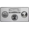 Image 1 : 2006 20th Anniversary (3) Coin American Silver Eagle Set NGC MS69/PF69