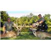 Image 2 : FIVE STAR OHIO WHITETAIL HUNTER FOR TWO HUNTERS