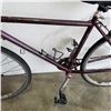 Image 2 : PURPLE NO NAME BIKE