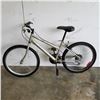 Image 1 : GREY GREEN SUPERCYCLE BIKE