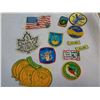 Image 2 : LOT OF BOY SCOUT BADGES AND BRASS HORSE MEDALIONS