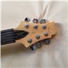Image 3 : GREG BENNETT DESIGN MALIBU ELECTRIC GUITAR W/ SOFTCASE