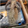 Image 2 : BARBARY SHEEP BY CAMROSE DUCOTE ORIGINAL MIXED MEDIA SCULPTURE