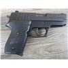 Image 2 : SIG SAUER MODEL P245
