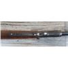 Image 13 : WINCHESTER MODEL 1906