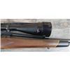 Image 11 : WINCHESTER MODEL 70