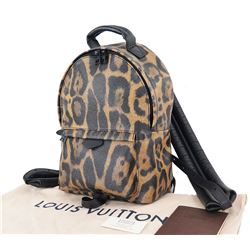 LOUIS VUITTON Backpack