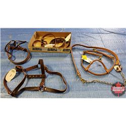 Tray Lot - Weaver Items: 1" Horse Halter, Headstall, Tiedown, Noseband, Rein 5/8x8, Stud Chain w/Lea