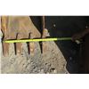 Image 2 : Cat 305 Bucket 18"