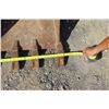 Image 2 : Cat 308 Bucket 24"