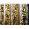 Image 2 : (5) Vials of Leaf Flakes