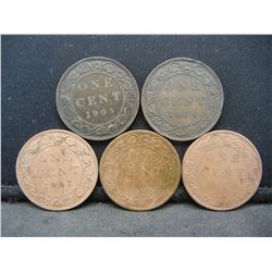 (5) CANADIAN LARGE CENTS, CONSECUTIVE YRS (1904/05/06/07/08)