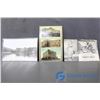 Image 1 : (3) Vintage Postcards